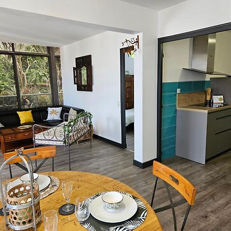 Appartement Le Jardin Imaginaire شامبيانول المظهر الخارجي الصورة